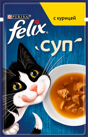 FELIX Soup GiG Chicken 48g